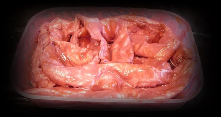 Aprende a crear intestinos falsos de manera sencilla